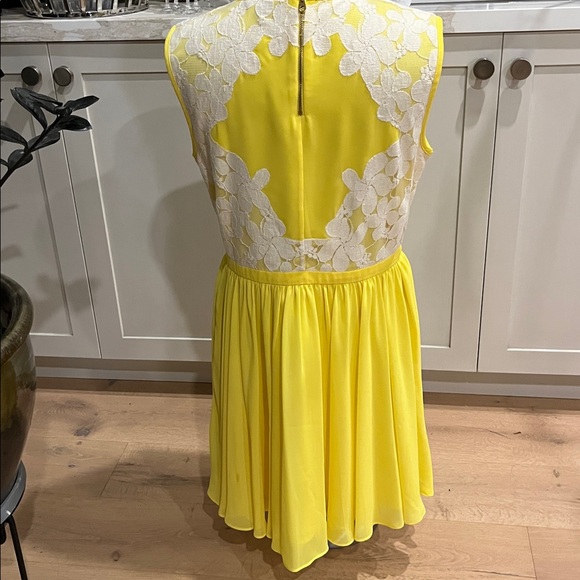 Ted Baker Vember Yellow and White Lace Mini Dress - Picture 8 of 14